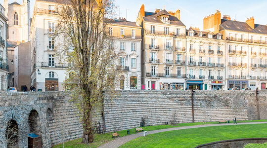 tout-decouvrir-en-ce-qui-concerne-la-ville-de-nantes